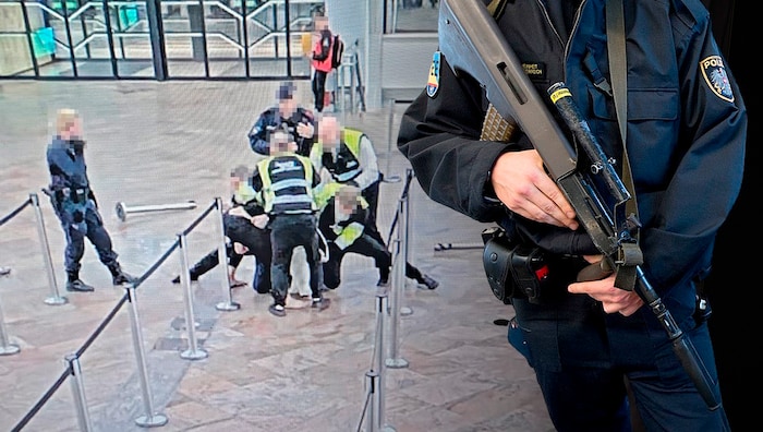 The female officer stands by while her colleague wrestles with the suspect over the assault ...