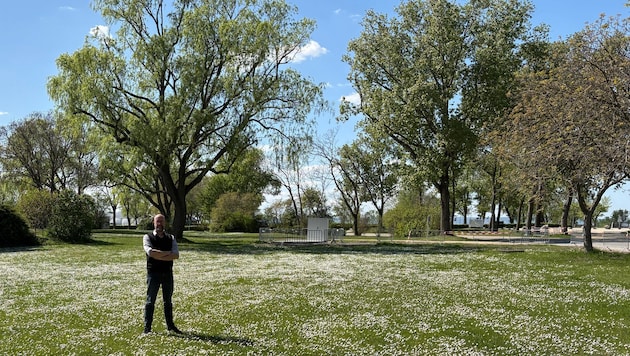 Eines der Grundstücke liegt direkt am See. Das zweite bei der Einfahrt am Nordstrand.