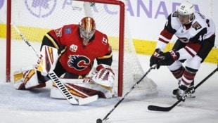 Michael Grabner (re.) kehrt heim.