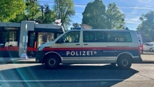 Für den 96-Jährigen kam jede Hilfe zu spät.