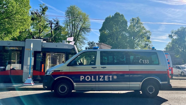 Für den 96-Jährigen kam jede Hilfe zu spät.