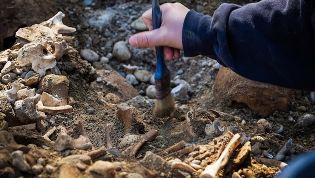 Am Welser Stadtplatz wurden ebenso alte Skelette entdeckt wie in Ranshofen, wo Franzosen ...
