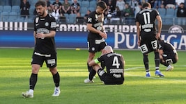 Die Sturm-Spieler haben schon einmal frenetischer gejubelt.