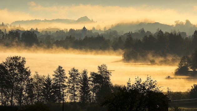 In Salzburg sollen vor allem Moore und Flüsse wieder hergestellt werden.