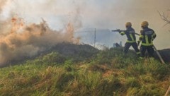 17 Tage lang wütete der Waldbrand in Eisbach-Rein.
