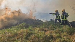 Im Wald oberhalb des Stifts Rein breitete sich das Feuer am Sonntag rasant aus.