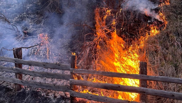 Das Feuer brach neben der Landesstraße L240 aus.