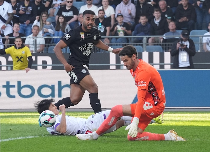 Harmlos an vorderster Front: Malone und Co.