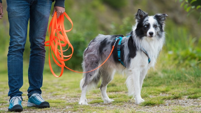 Mit der Schleppleine auf der sicheren Seite.
