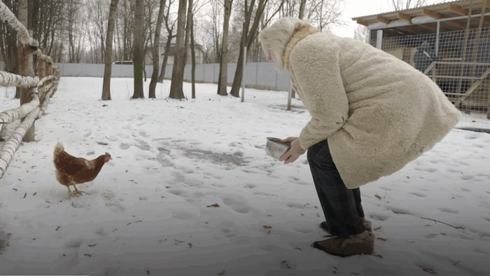 Alltag am Hof im Jahr 2026