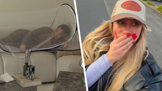 In ihrer Wohnung sind rund 200 Nosferatu‑Spinnen geschlüpft – die Influencerin lebt aus Angst ...