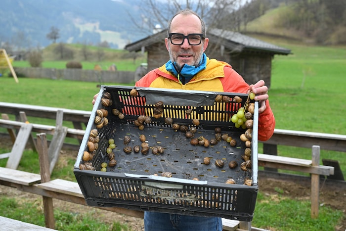 Ihren Winterschlaf verbringen sie in Kisten.