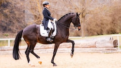 Diana Porsche reitet derzeit für Ungarn.