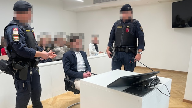 Der 29-jährige Wiener vor Gericht.