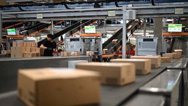 Die Regierung will von großen Versandhändlern zwei Euro pro Paket einheben.