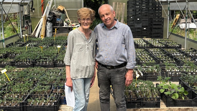 Silvia und Josef Kitz (re.) widmen sich seit gut 20 Jahren der Auf- zucht von Para- deisern und ...