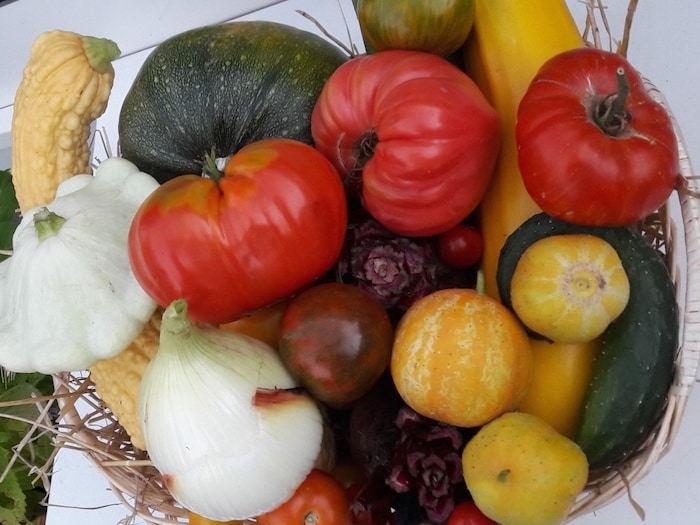 Gemüse Allerlei – das Herz von ambitionierten Gärntnern schlägt am Samstag höher.