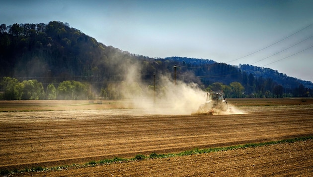 Kein Aufatmen für Land- und Forstwirtschaft: Es bleibt trocken.