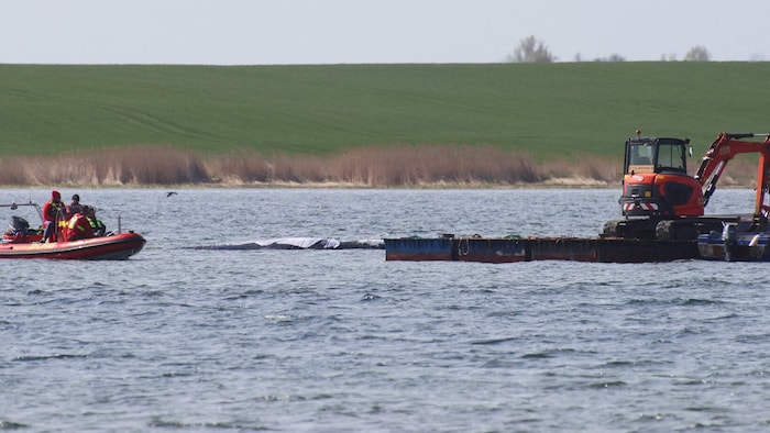 Die Pläne, wie Buckelwal „Timmy“ befreit werden soll, ändern sich immer wieder.