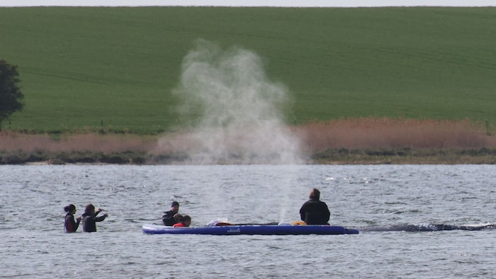 Die Helfer arbeiten laut Einsatzleiter seit Tagen am Limit.