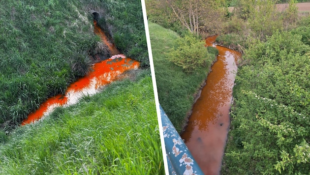 Die Mistel und die Zaya im nördlichen Weinviertel am Montagnachmittag.