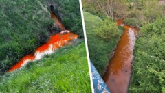 Was ist denn das für eine Brühe? Das fragten sich zahlreiche Bewohner an der Zaya. Die Feuerwehr ...