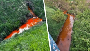 Was ist denn das für eine Brühe? Das fragten sich zahlreiche Bewohner an der Zaya. Die Feuerwehr ...