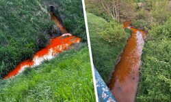 Was ist denn das für eine Brühe? Das fragten sich zahlreiche Bewohner an der Zaya. Die Feuerwehr ...