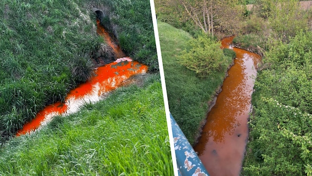 Was ist denn das für eine Brühe? Das fragten sich zahlreiche Bewohner an der Zaya. Die Feuerwehr ...