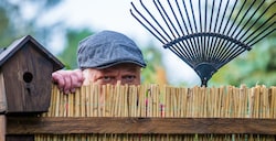 In den Gärten blühen auch manch sonderliche Wesensarten.