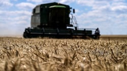 Israel fordert Beweise aus Kiew dafür, dass die russischen Getreidelieferungen aus den besetzten ...