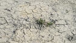 Die Zeichen des Klimawandels sind heuer so sicht- und spürbar wie nie.