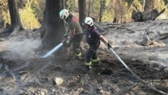 Feuerwehren aus ganz Kärnten helfen ihren Kameraden im Lesachtal beim Löschen.