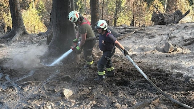 Feuerwehren aus ganz Kärnten helfen ihren Kameraden im Lesachtal beim Löschen.