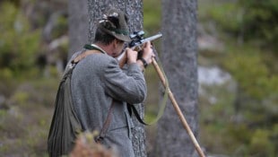 Das Aufeinandertreffen mit einem Jäger im Wald (Symbolbild) endete nun im Gerichtssaal