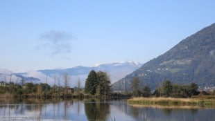 Der Slowtrail „Bleistätter Moor“ bietet ein einzigartiges Naturerlebnis – ob alleine, mit ...