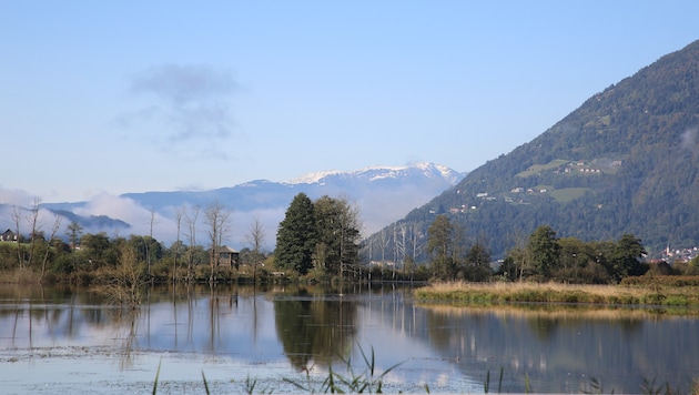 Der Slowtrail „Bleistätter Moor“ bietet ein einzigartiges Naturerlebnis – ob alleine, mit ...