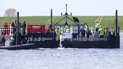 „Timmy“ wird in einer Barge Richtung Heimat befördert.