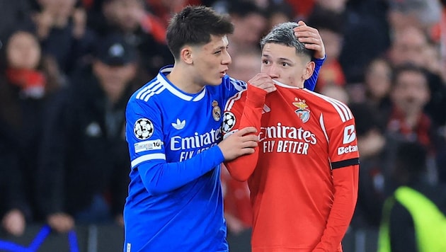 Gianluca Prestianni (re.) ist wohl der Auslöser für die Einführung der neuen Regel …