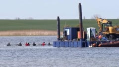Am Dienstag schwamm der Wal in sein „Wassertaxi“. Das letzte Stück Richtung Nordsee wird „Timmy“ ...