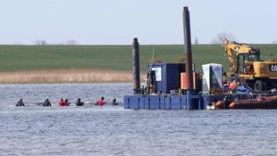 Am Dienstag schwamm der Wal in sein „Wassertaxi“. Das letzte Stück Richtung Nordsee wird „Timmy“ ...