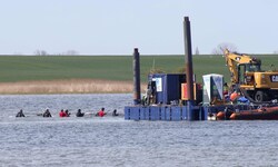 Am Dienstag schwamm der Wal in sein „Wassertaxi“. Das letzte Stück Richtung Nordsee wird „Timmy“ ...
