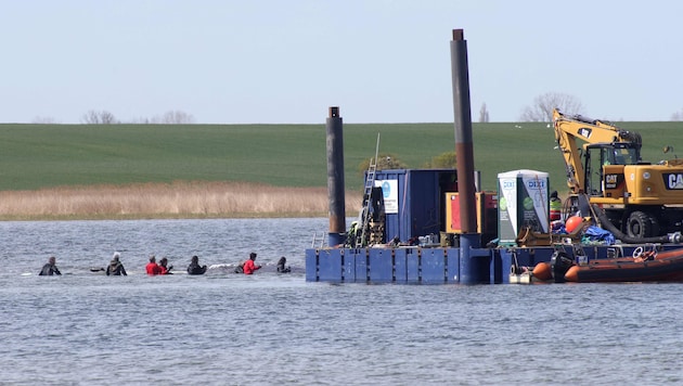 Am Dienstag schwamm der Wal in sein „Wassertaxi“. Das letzte Stück Richtung Nordsee wird „Timmy“ ...