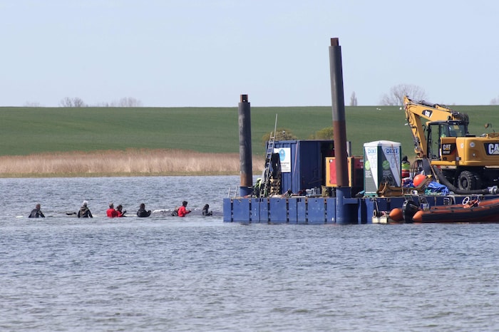 Am Dienstag schwamm der Wal in sein „Wassertaxi“. Das letzte Stück Richtung Nordsee wird „Timmy“ ...
