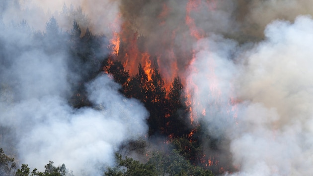 Ein Waldbrand bei Garaño in der spanischen Provinz León im Sommer 2025 – das Feuer wurde durch ...