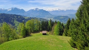 Auf der Wanderung gibt es viele verschiedene Pflanzen- und Tierarten zu entdecken.