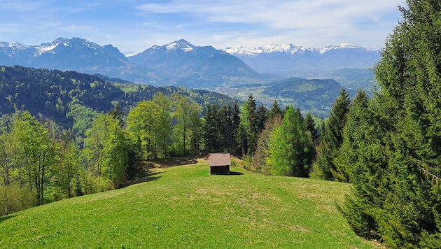 Auf der Wanderung gibt es viele verschiedene Pflanzen- und Tierarten zu entdecken.