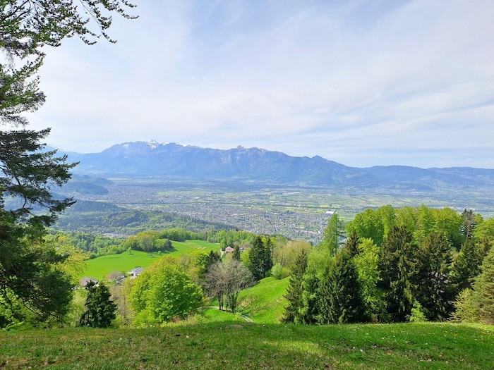 Im Hintergrund sind die Schweizer Bergen zu sehen.