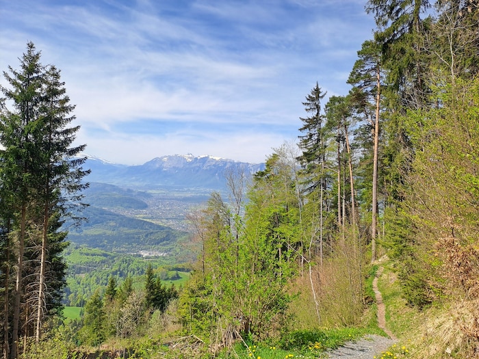 Ein Rundweg führt zum Aussichtspunkt „Vita Schrofen“.
