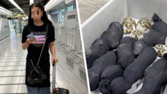 Die 19-Jährige aus Taiwan hatte die Schildkröten am Körper fixiert. Ein Tier war bereits ...